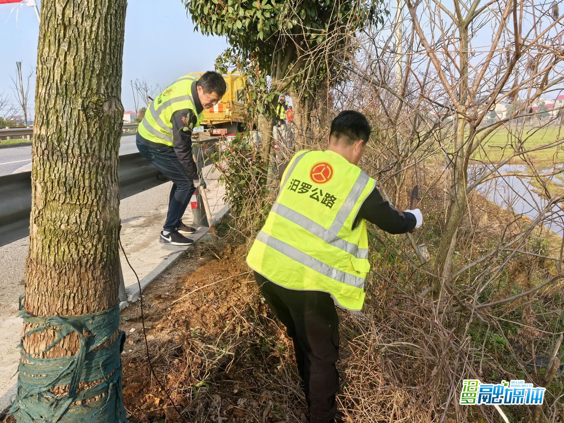 学雷锋优环境 汨罗公路人挥汗“擦亮”青春大道