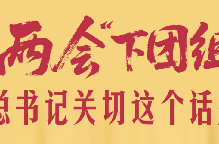 一见·两会“下团组”，总书记关切这个话题
