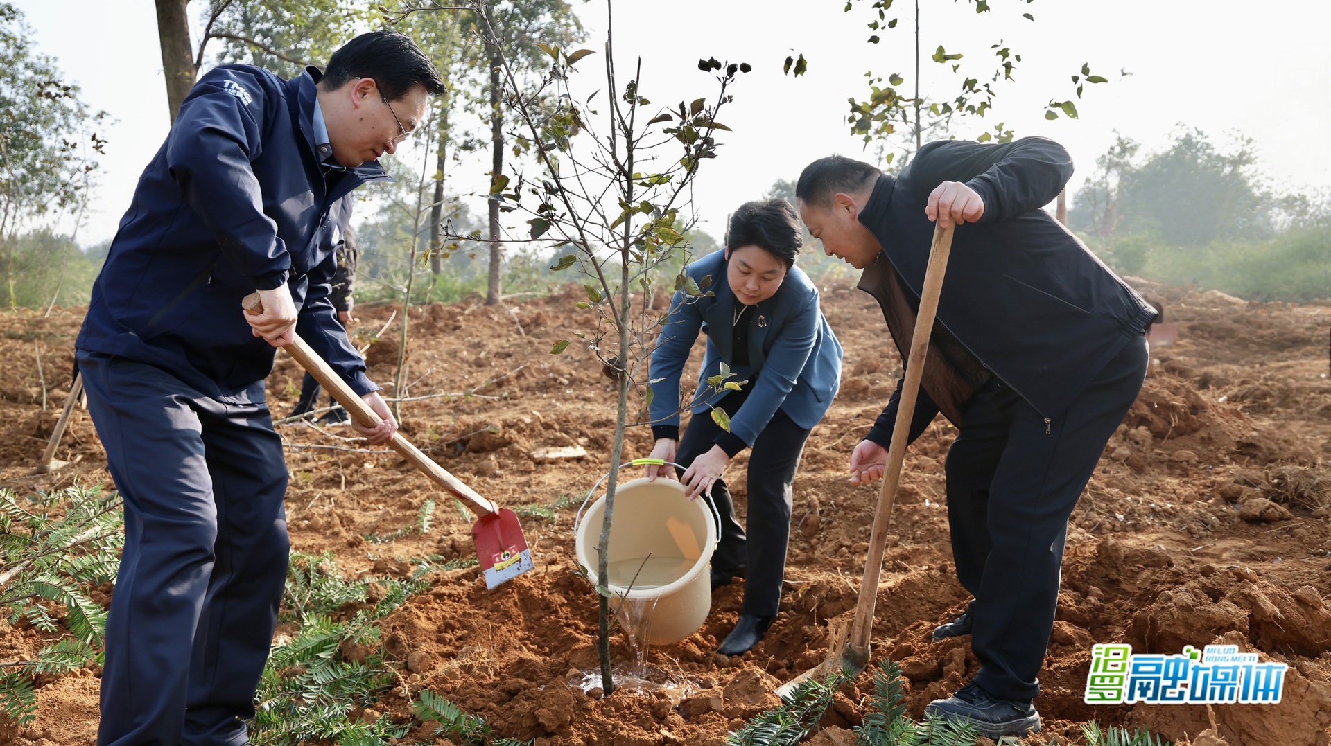春染罗城添新绿！ 汨罗开展植树节活动