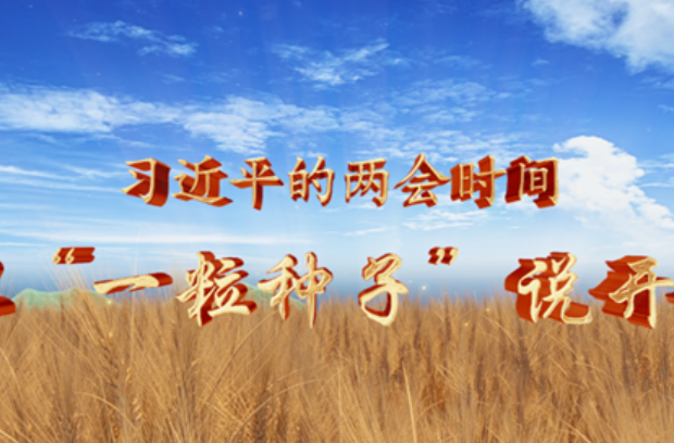 习近平的两会时间丨从“一粒种子”说开去