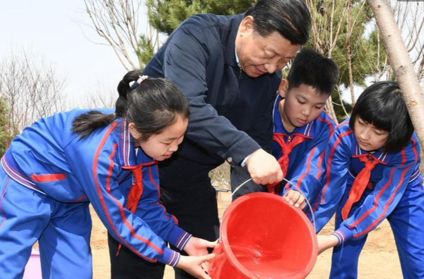 学而时习之｜众人植树树成林