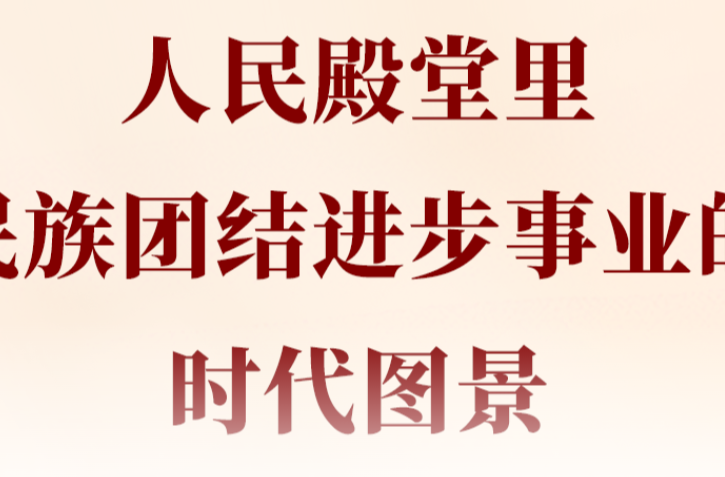 两会第一观察 | 人民殿堂里，民族团结进步事业的时代图景