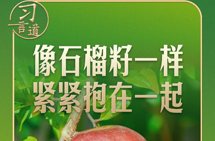 习言道｜“石榴籽”之喻，有了坚实的法治保障