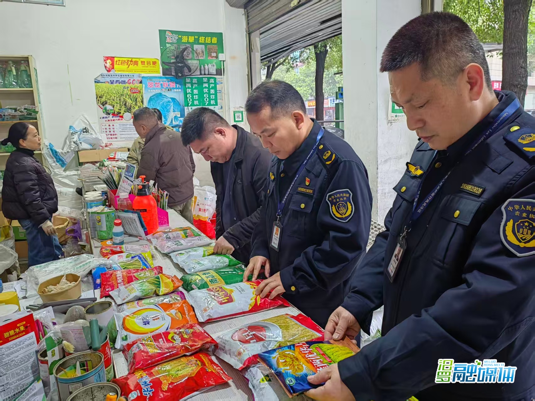 汨罗：严把种子质量关 筑牢春耕“第一道防线”