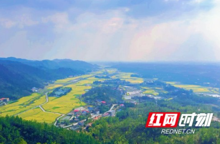 好评中国丨政策赋能强“三农”，湖湘沃野绽新颜