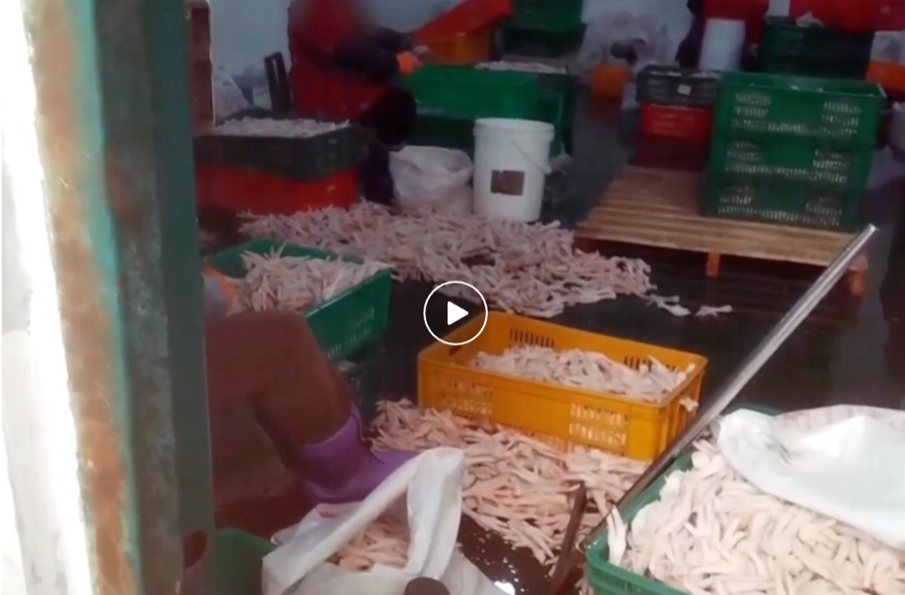 “3·15”之后，我们该做些什么？