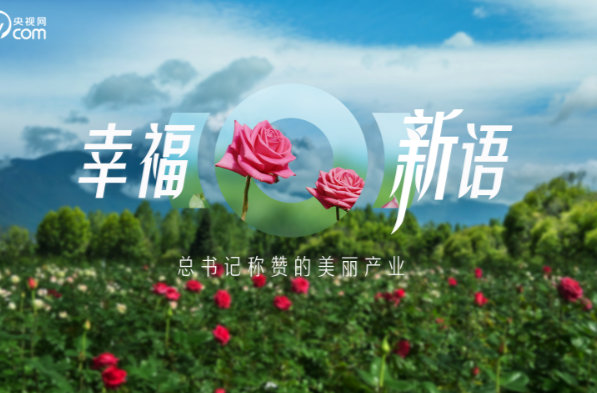 时政微纪录｜幸福新语——总书记称赞的美丽产业