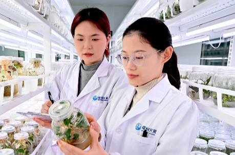 一习话丨“实现种业科技自立自强、种源自主可控”