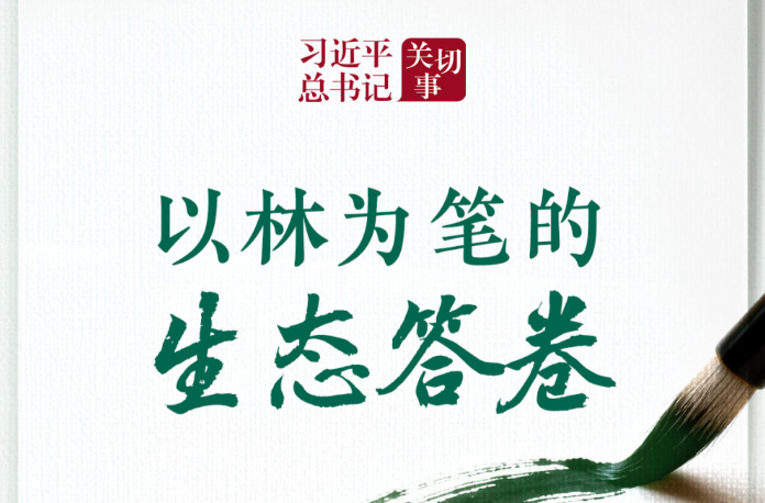 习近平总书记关切事｜以林为笔的生态答卷
