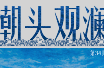 潮头观澜丨千年大计 拔节生长