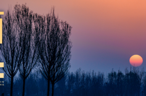 时政画说丨春之计