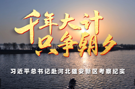 时政微纪录丨千年大计 只争朝夕——习近平总书记赴河北雄安新区考察纪实