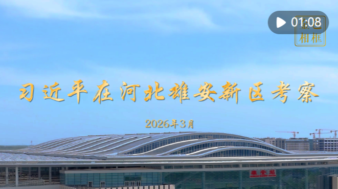 金色相框｜习近平在河北雄安新区考察