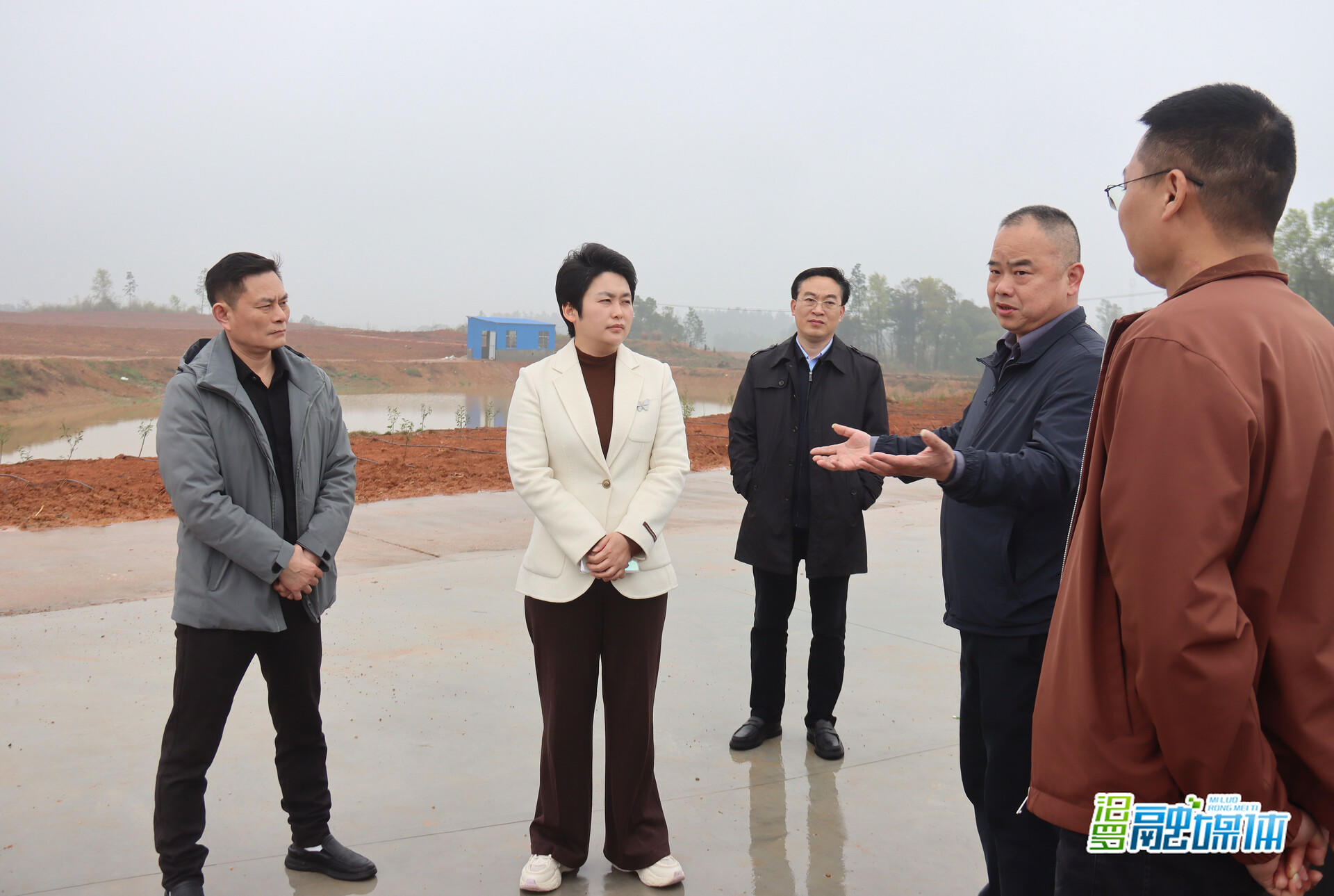 马慧到大荆镇调研