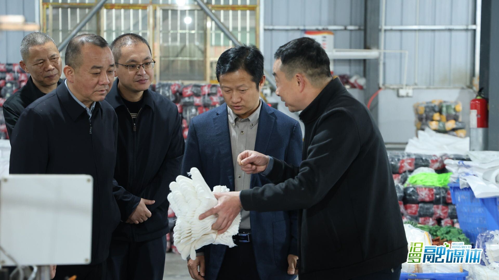 林恒求到白塘镇、屈子祠镇调研