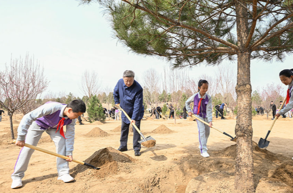 提质兴业利民，总书记为推进国土绿化指引方向