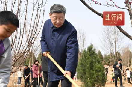 此行间·植树造林，总书记强调要“利民”