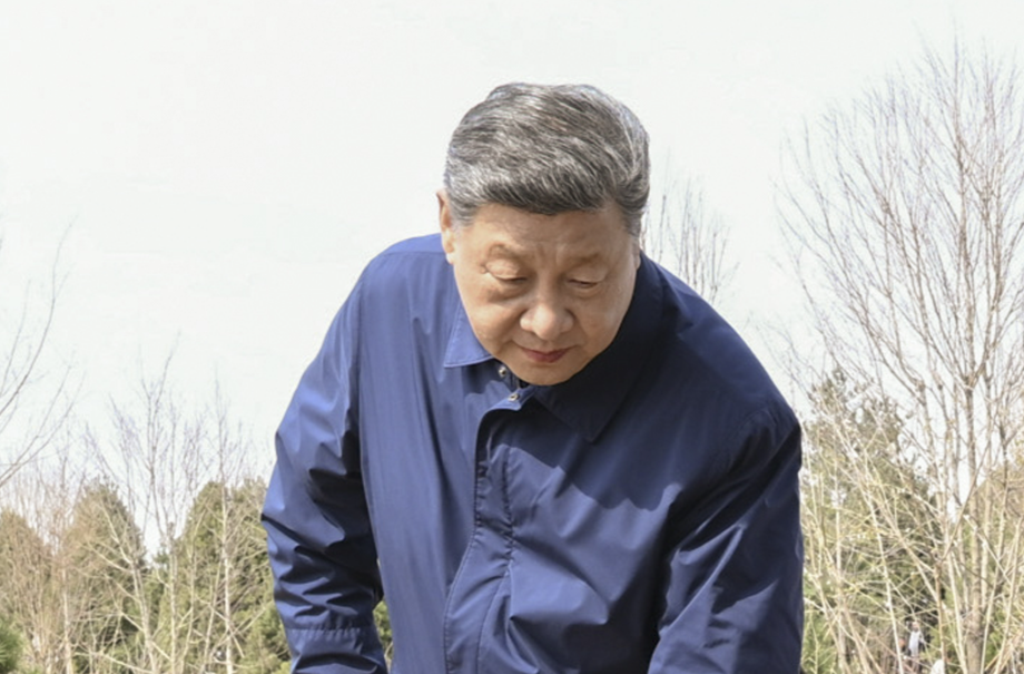 一见·“赋能型大国”，向绿而行、以绿赋能