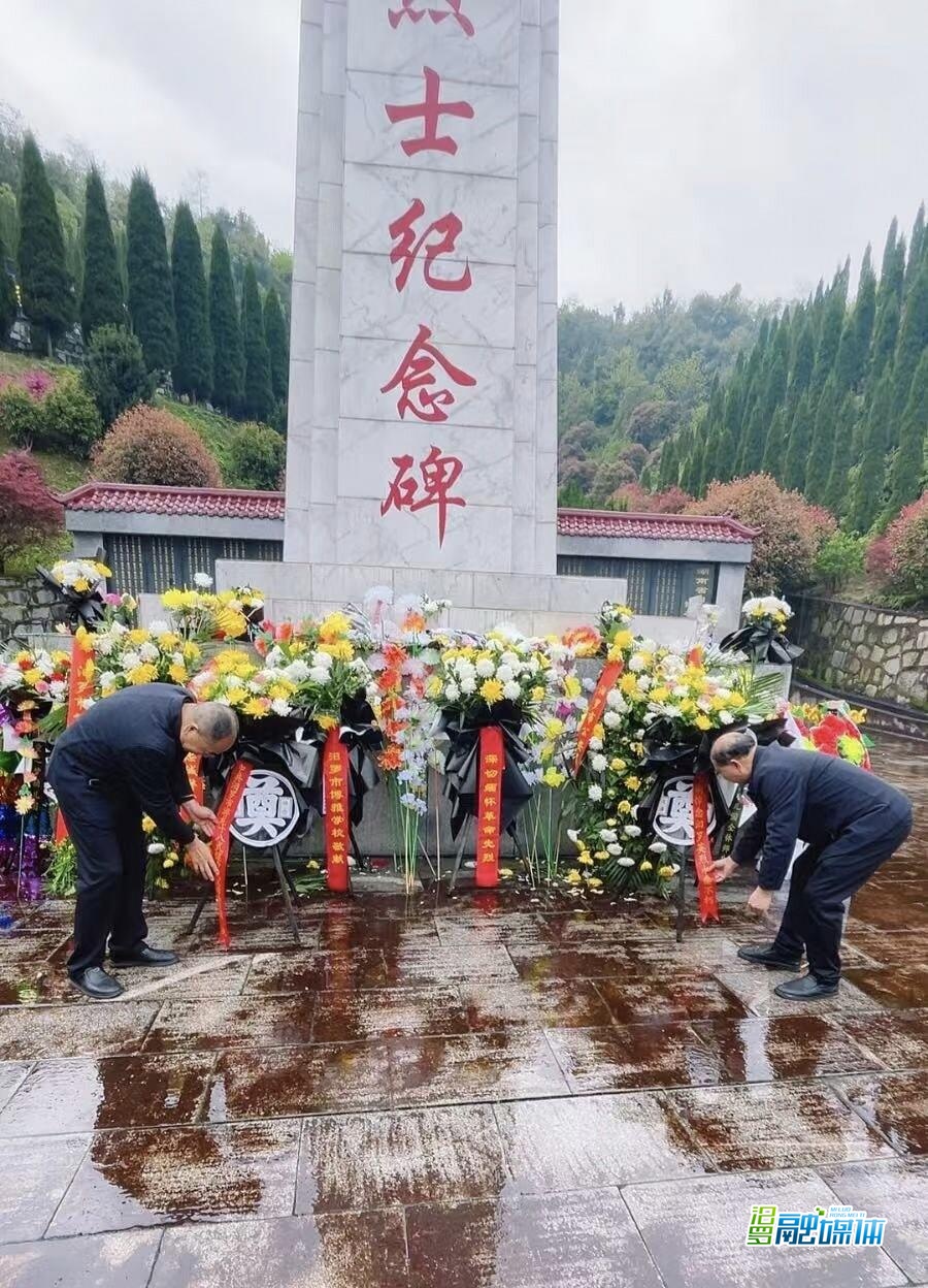 汨罗市游龙十八式健身武术学会党支部：绿色祭扫践初心，红色基因代代传