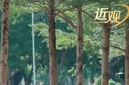 天天学习｜“1”心系万家