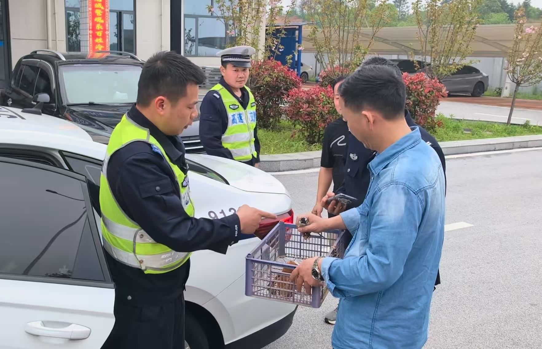 汨罗市林业局与高速交警联手救助受伤野生保护动物