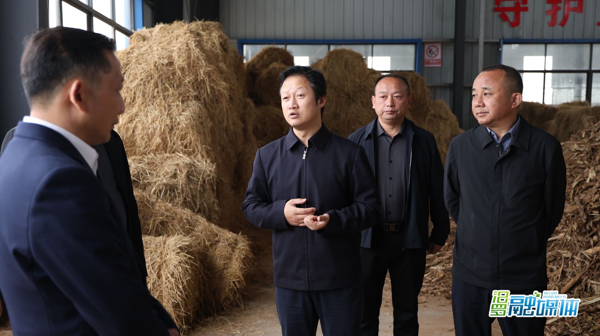 林恒求到桃林寺镇调研