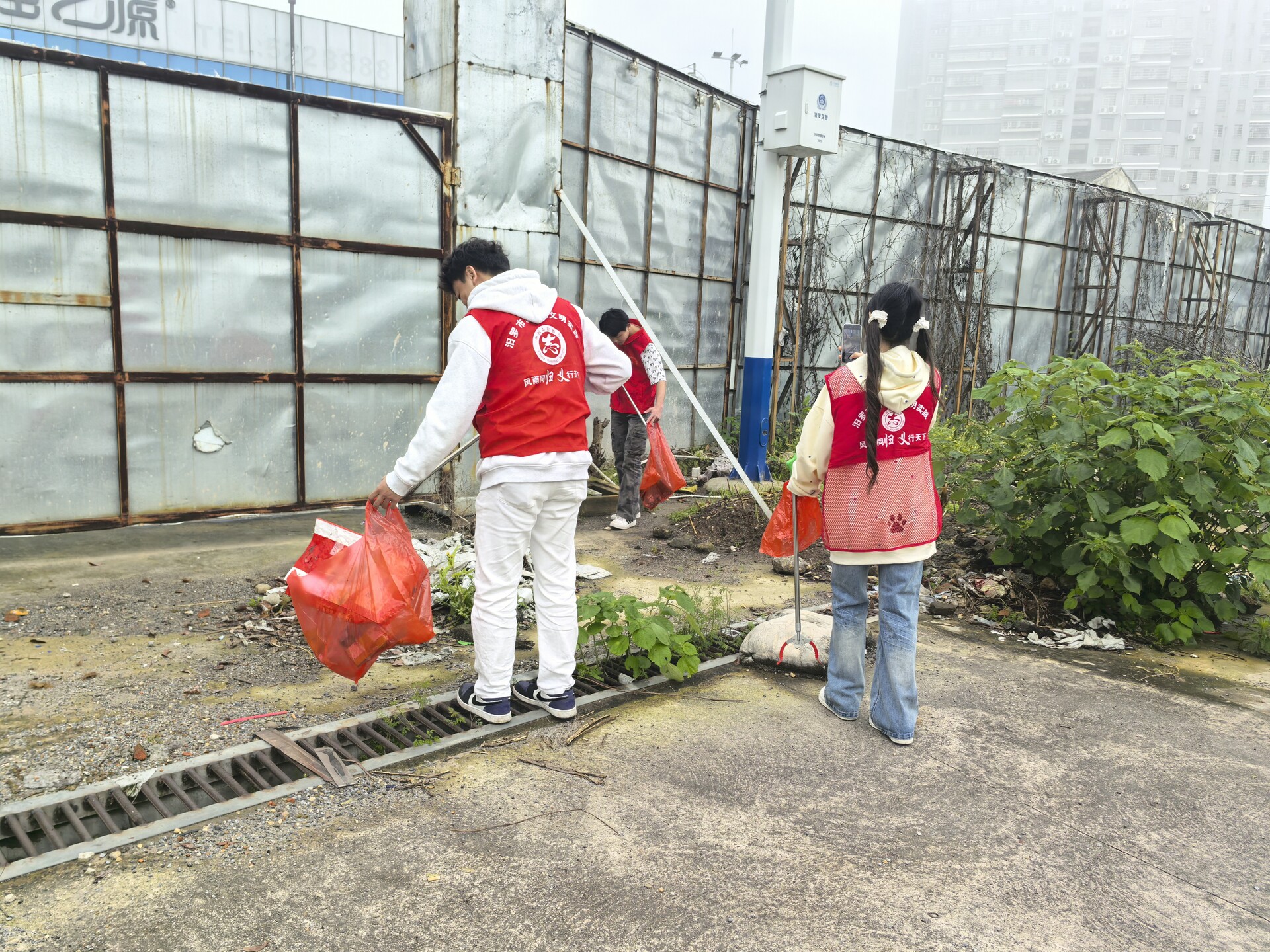 高泉社区：砍青除杂焕新颜 志愿“红”点亮家园美