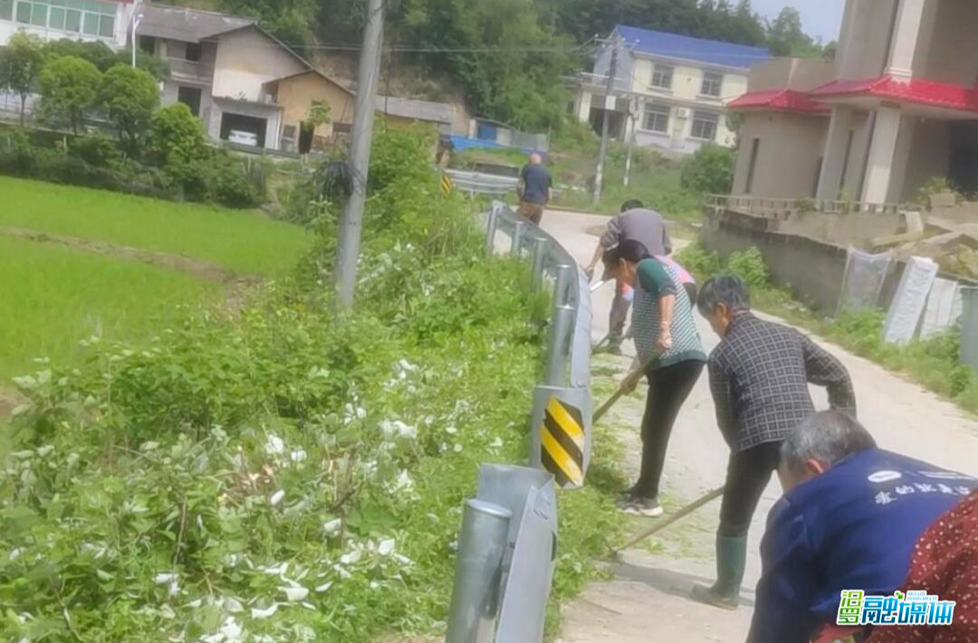 老老少少齐上阵 弼时镇新屋组村民自发清理道路保安全