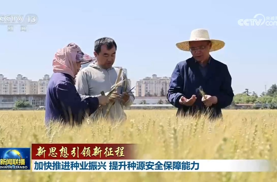 【新思想引领新征程】加快推进种业振兴 提升种源安全保障能力