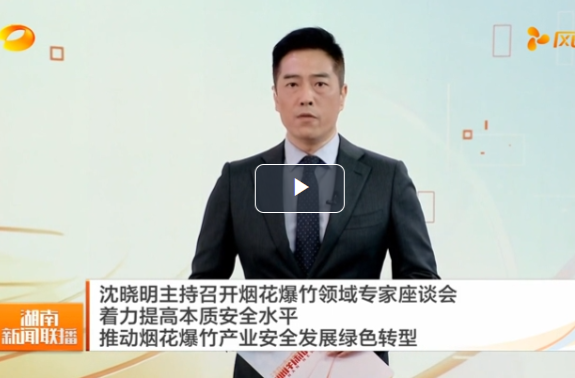沈晓明主持召开烟花爆竹领域专家座谈会