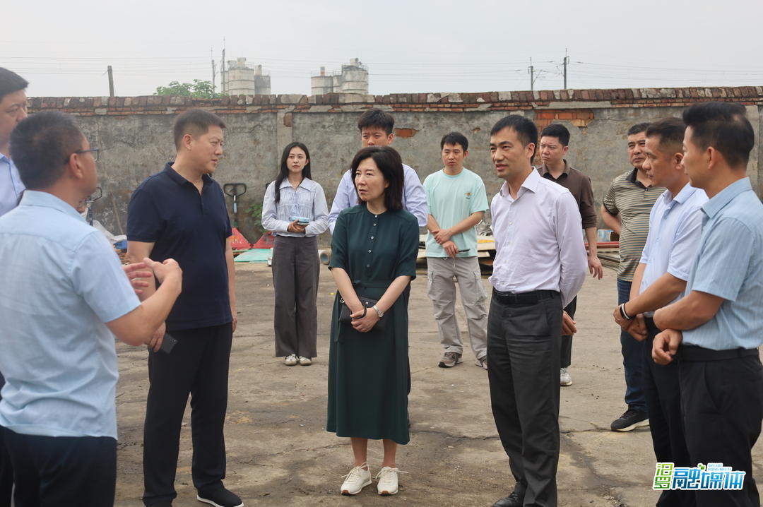 中国自然资源经济研究院来汨罗调研 点赞低效用地再开发“汨罗模式”