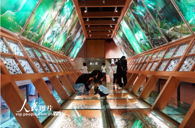 好评中国丨以高水平文博建设，推动中华文明联结世界