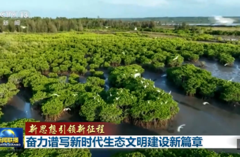 新思想引领新征程丨奋力谱写新时代生态文明建设新篇章