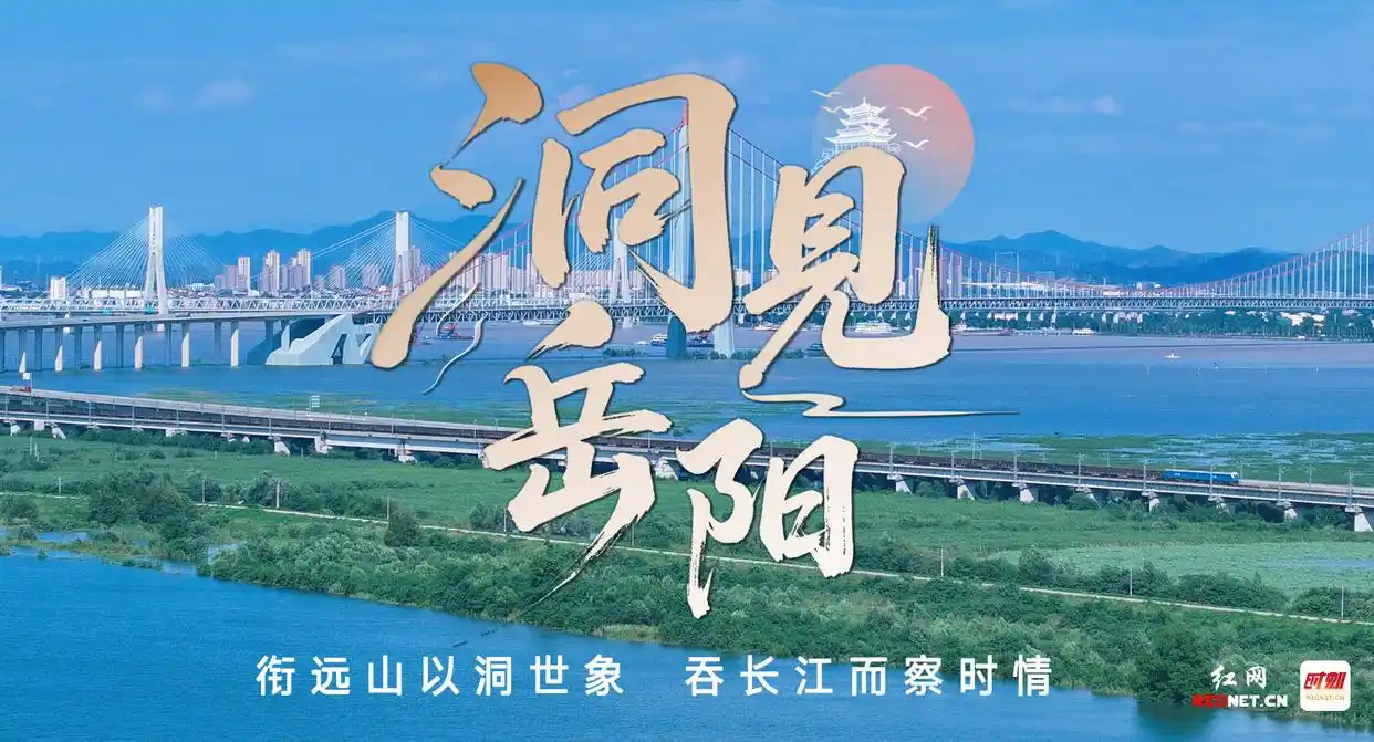 洞见岳阳丨深化“四大行动”，赋能“企业服务年”