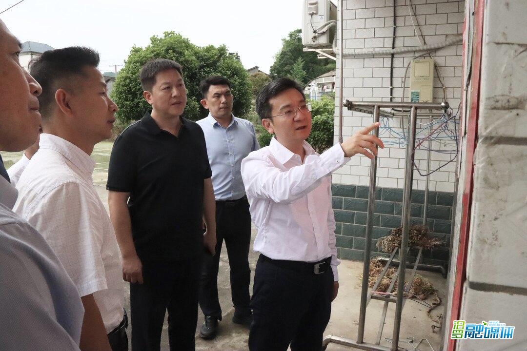 岳阳市副市长段宁来汨罗督导安全生产、地质灾害防治工作
