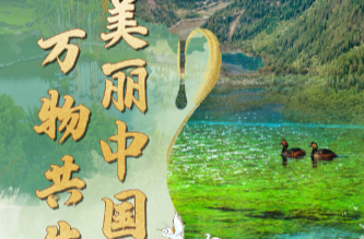 联播+｜美丽中国 万物共生