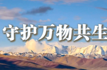 微视频｜守护万物共生