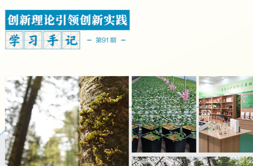 学习手记·创新理论引领创新实践 | 人与青山两不负——“林区三问”的十年答卷
