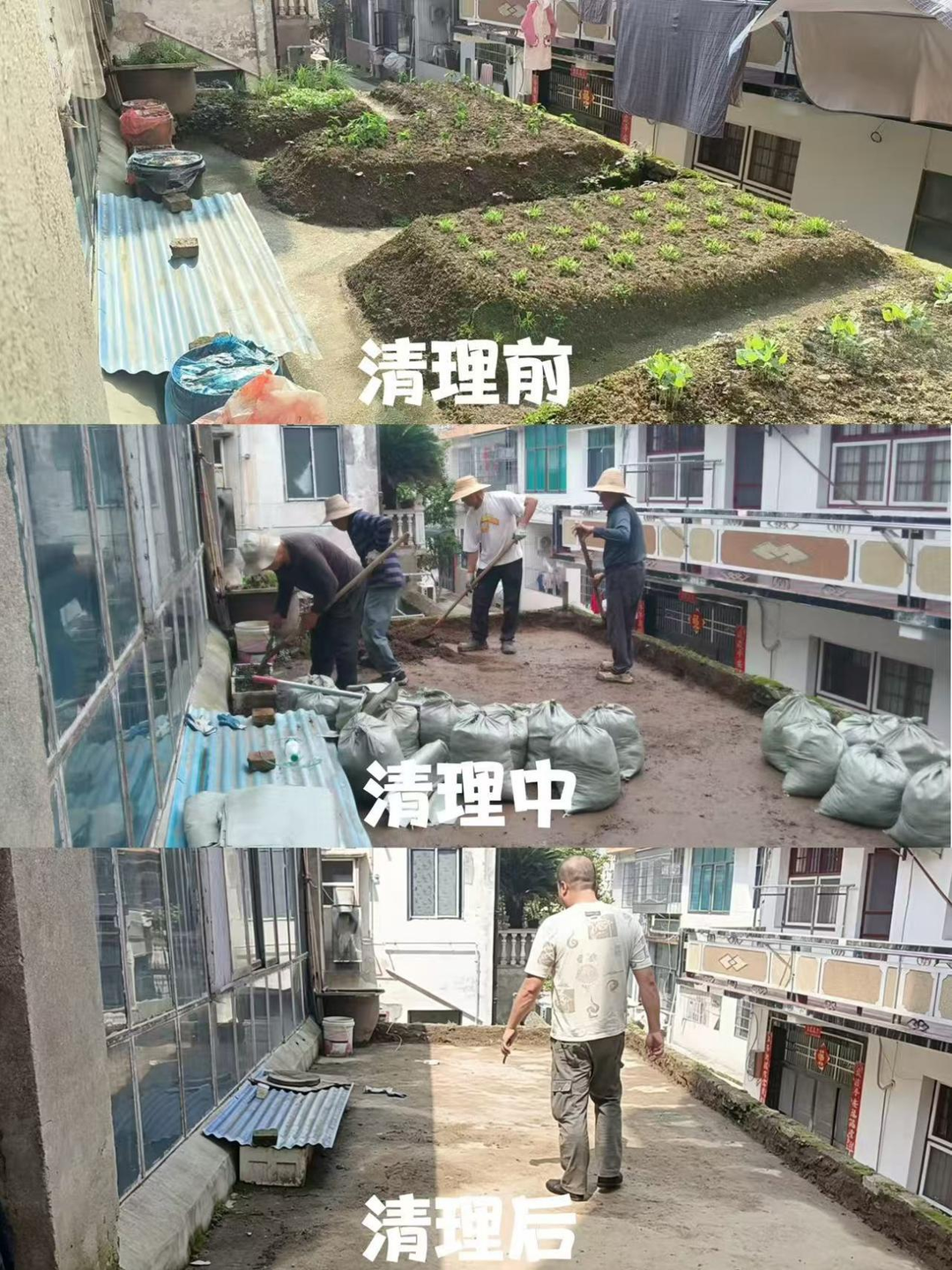 “空中菜园”惹纠纷，汨新社区巧妙化解护安全