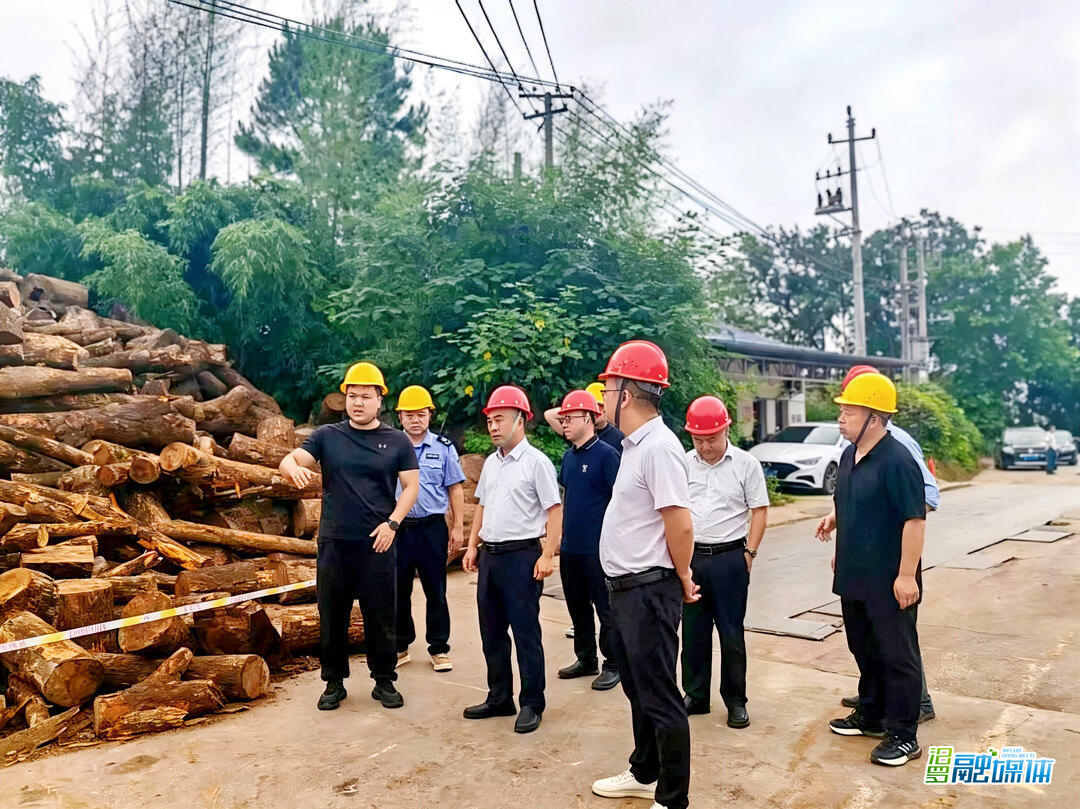 岳阳市林业局来汨罗开展安全生产专项督查