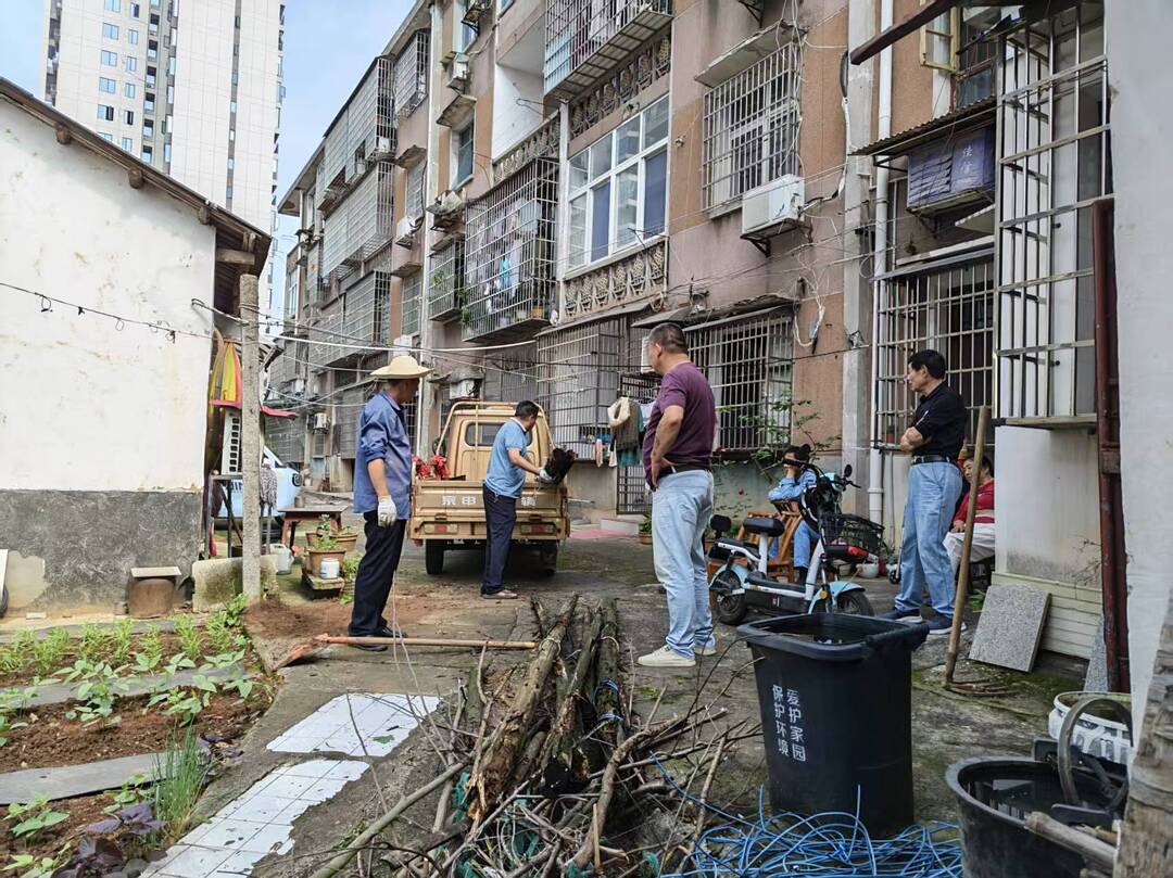 菜地变坪，环境焕新！ 高泉社区整治水泥厂小区户前菜地
