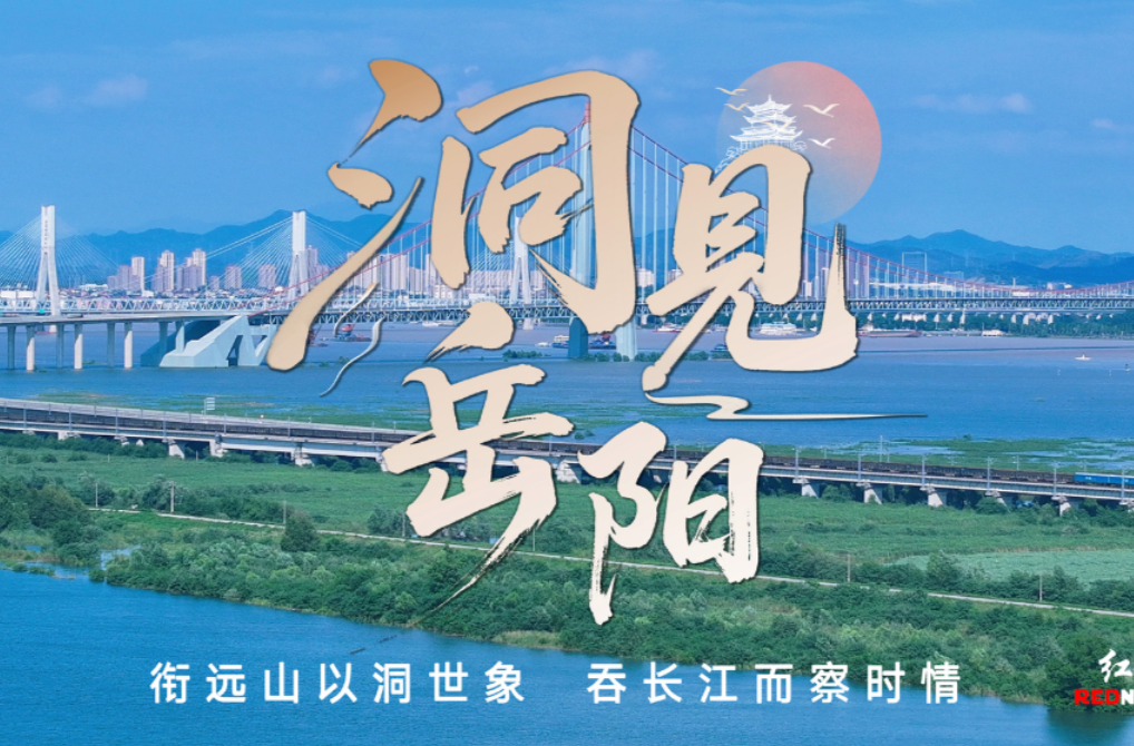 洞见岳阳丨职业教育贴合市场需求就是大道