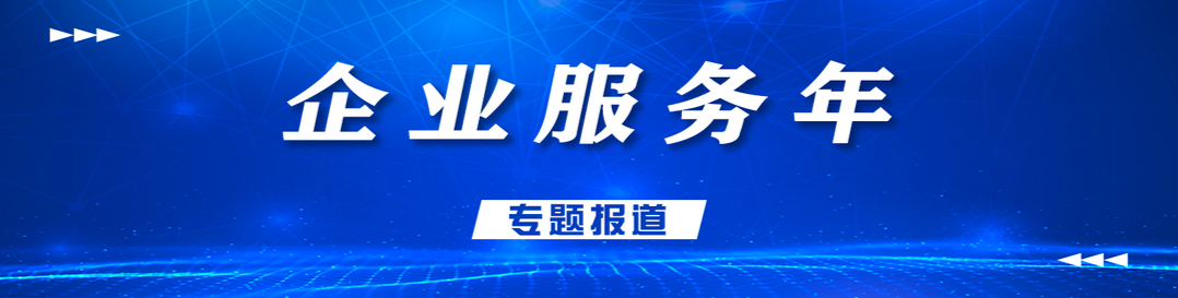 2026企业服务年