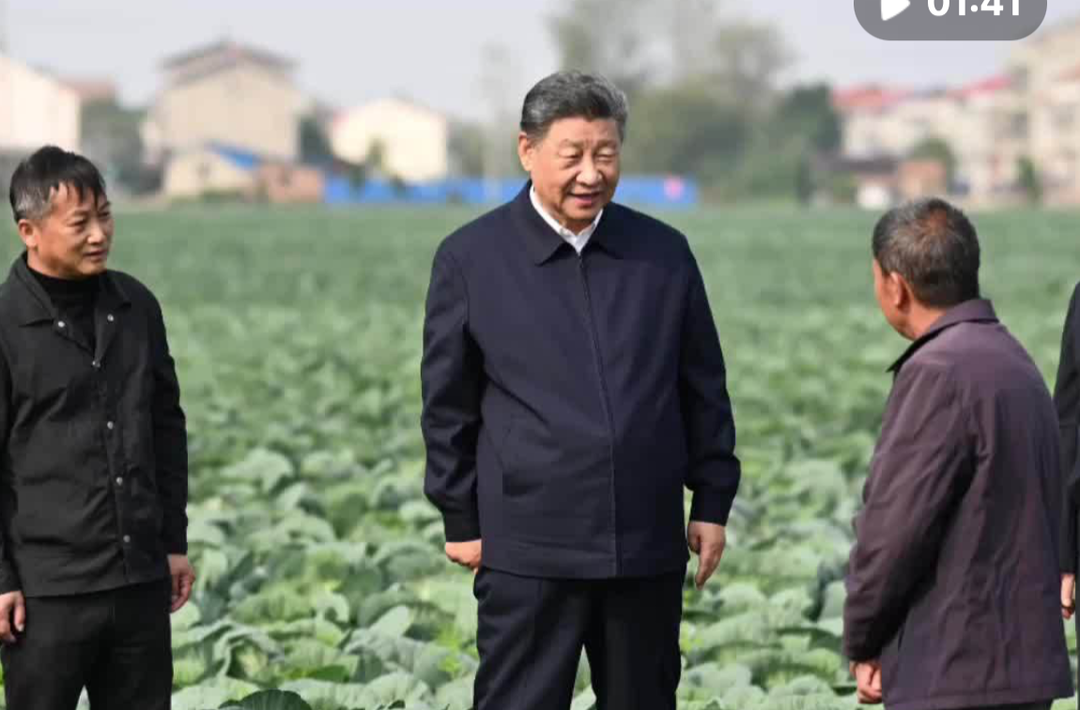 总书记引领强国之路｜加快农业农村现代化步伐