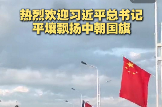 热烈欢迎习近平总书记 平壤飘扬中朝国旗