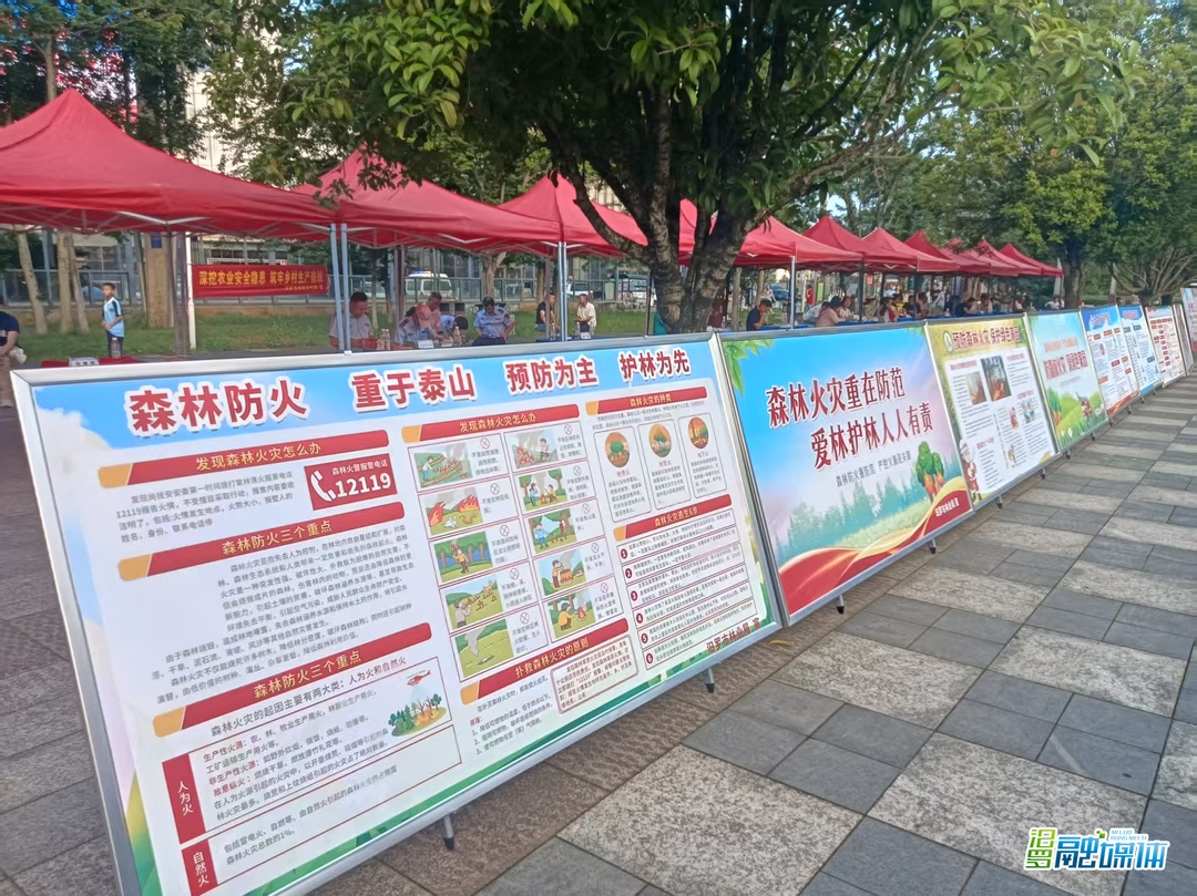 汨罗市林业局开展“安全生产月”宣传活动