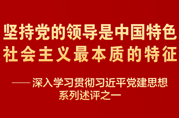 深入学习贯彻习近平党建思想系列述评之一