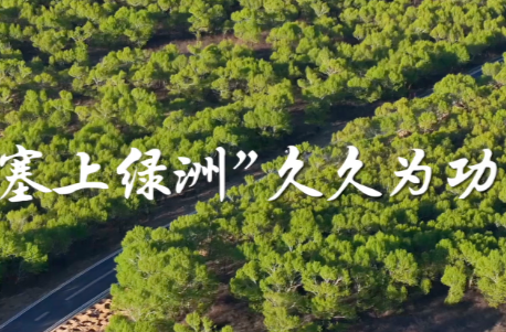 学习·故事丨“塞上绿洲”久久为功