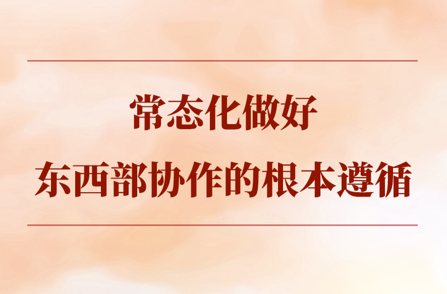 第一观察｜常态化做好东西部协作的根本遵循