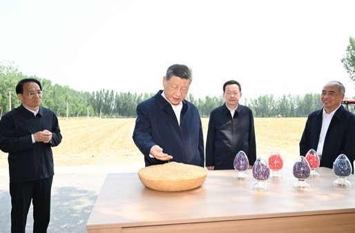 习近平在山东德州考察